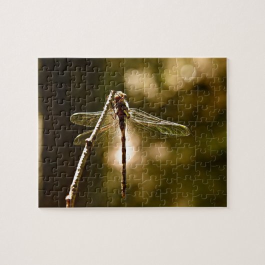 PUZZLE PREMIER VOL DE LA LIBELLULE (Horizontal)