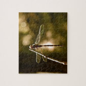 PUZZLE PREMIER VOL DE LA LIBELLULE (Vertical)