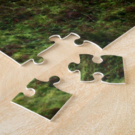 Puzzle Près De Lough Na Fooey (Côté)