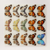 Puzzle Présentation en grille de la collection de papillo (Horizontal)