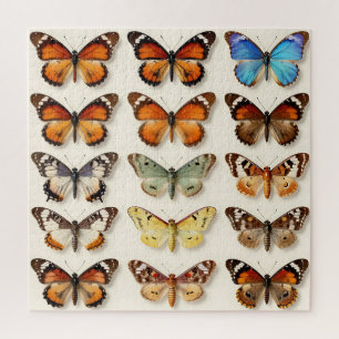 Puzzle Présentation en grille de la collection de papillo