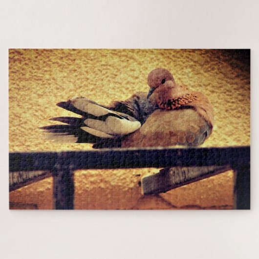 Puzzle Prestigieux Plumage (Horizontal)