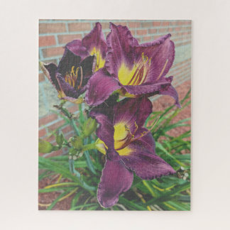 Puzzle Pretty Purple Burgundy Day Lilies