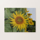 Puzzle Pretty Sunflowers (Horizontal)