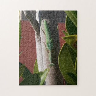 Puzzle Prier Mantis