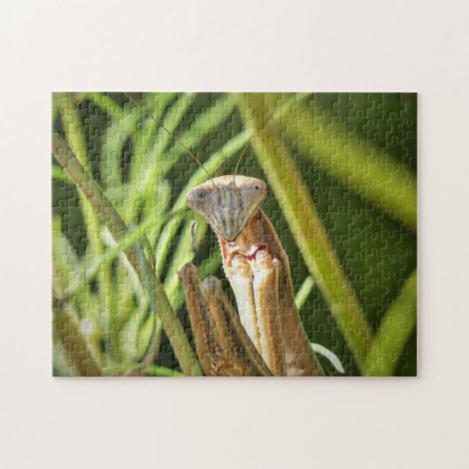 Puzzle Prier Mantis (Horizontal)