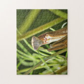 Puzzle Prier Mantis (Vertical)