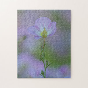 Puzzle Primrose pourpre