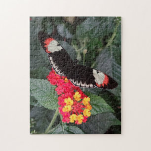 Puzzle principal de papillon de piano