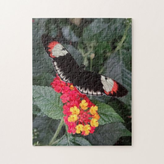 Puzzle principal de papillon de piano (Vertical)