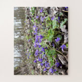 Puzzle Printemps éveil, Fleurs de forêt, Violettes de mar (Vertical)