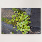 Puzzle Printemps éveil, petite fleur avec gouttes de plui (Horizontal)