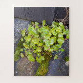 Puzzle Printemps éveil, petite fleur avec gouttes de plui (Vertical)