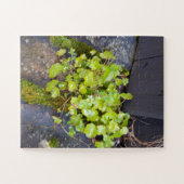 Puzzle Printemps éveil, petite fleur avec gouttes de plui (Horizontal)