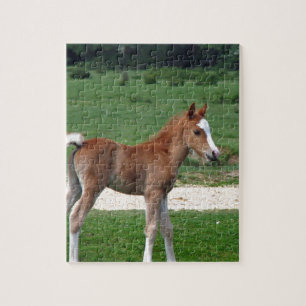 Puzzle Printemps mignon de cadeaux de destin de poulain d