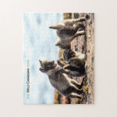 Puzzle Printemps - Renard arctique (Vertical)