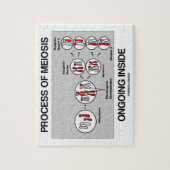 Puzzle Processus de l'intérieur actuel de méiose (Vertical)