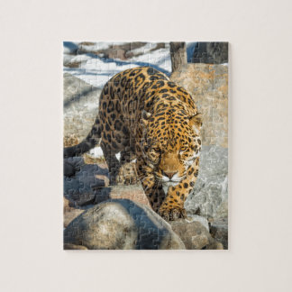 Puzzle Produits de coutume de Jaguar