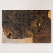 Puzzle Profil de Buffalo (Horizontal)