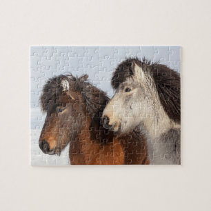 Puzzle Profil de cheval islandais, Islande