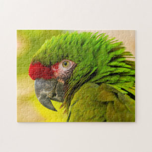 Puzzle Profil de macaw à Père Noël Barbara Zoo