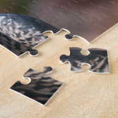 Puzzle Profil du faucon pèlerin (Côté)