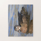 Puzzle Profil d'un beau canard à bois sur l'eau (Vertical)