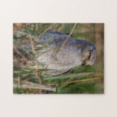 Puzzle Profil d'un harceleur du Nord (Horizontal)