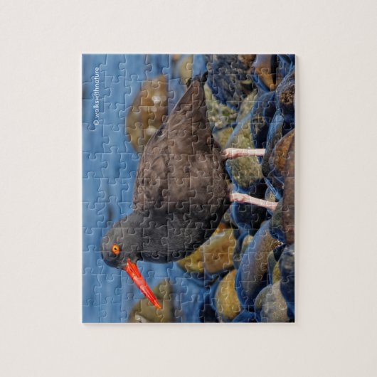 Puzzle Profil d'un Oystercatcher noir (Vertical)