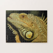 Puzzle Profil d'une Iguana verte (Horizontal)