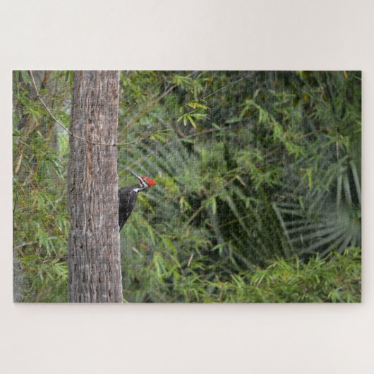 Puzzle Profil Floride Pileated Woodpecker Nature Photo (Horizontal)