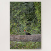 Puzzle Profil Floride Pileated Woodpecker Nature Photo (Vertical)