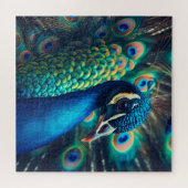 Puzzle Profil Peacock (Horizontal)