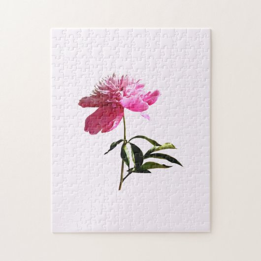Puzzle Profil Pink Peony (Vertical)