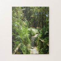 Promenade dans le Parc national de Doñana, Espagne