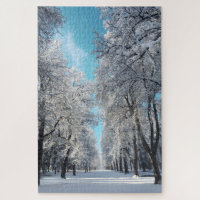 promenade d'hiver dans le parc