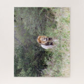 Puzzle promenade du lion (Vertical)