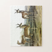 Puzzle Pronghorn (Antelope à cornes longues) par Audubon (Vertical)