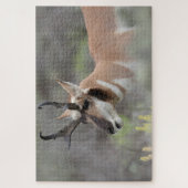 Puzzle Pronghorn Antelope Buck | Grand Tétons (Vertical)