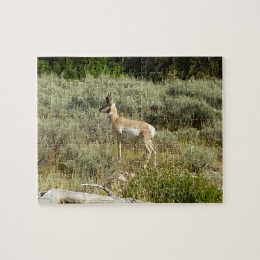 Puzzle Pronghorn au Parc national de Grand Teton (Horizontal)