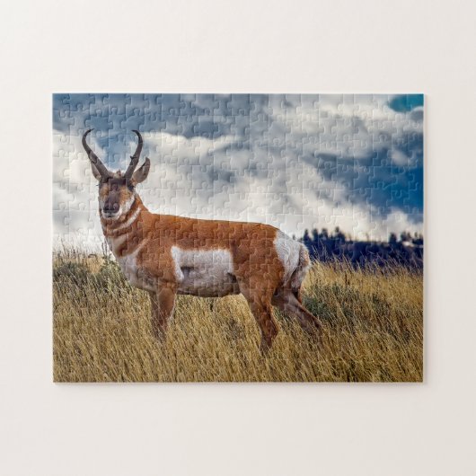 Puzzle Pronghorn Deer Wyoming. (Horizontal)
