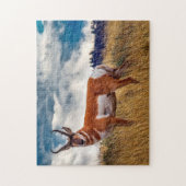 Puzzle Pronghorn Deer Wyoming. (Vertical)