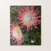 Puzzle Protéa géant (Protea Cynaroides), Helderberg (Vertical)