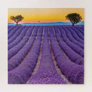 Puzzle Provence, France.Plateau de Valensole.