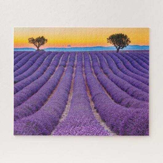 Puzzle Provence, France Plateau de Valensole. (Horizontal)