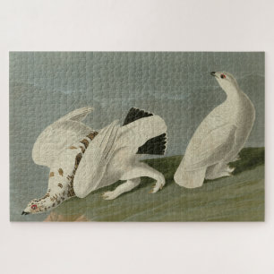 Puzzle Ptarmigan à queue blanche - Audubon's Birds