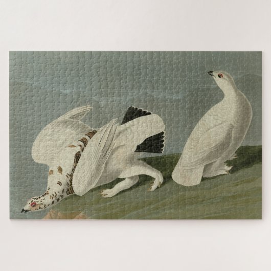 Puzzle Ptarmigan à queue blanche - Audubon's Birds (Horizontal)
