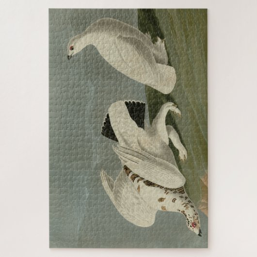 Puzzle Ptarmigan à queue blanche - Audubon's Birds (Vertical)