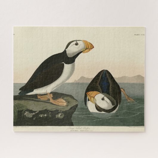 Puzzle Puffin à gros bec - Audubon's Birds of America (Horizontal)