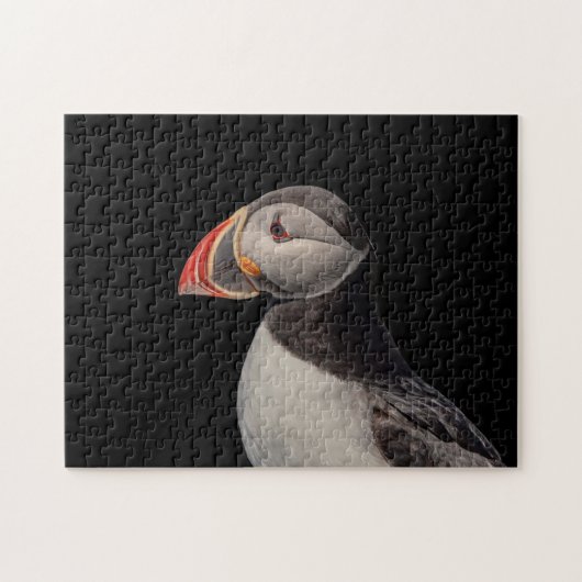 Puzzle Puffin Atlantique en Machias, Maine (Horizontal)
